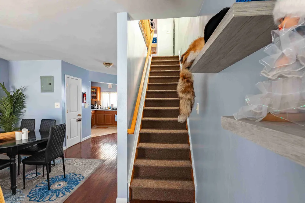 Cozy living room with staircase.