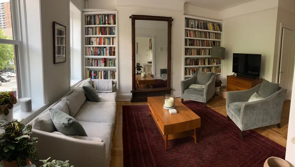 Cozy living room with bookshelves.