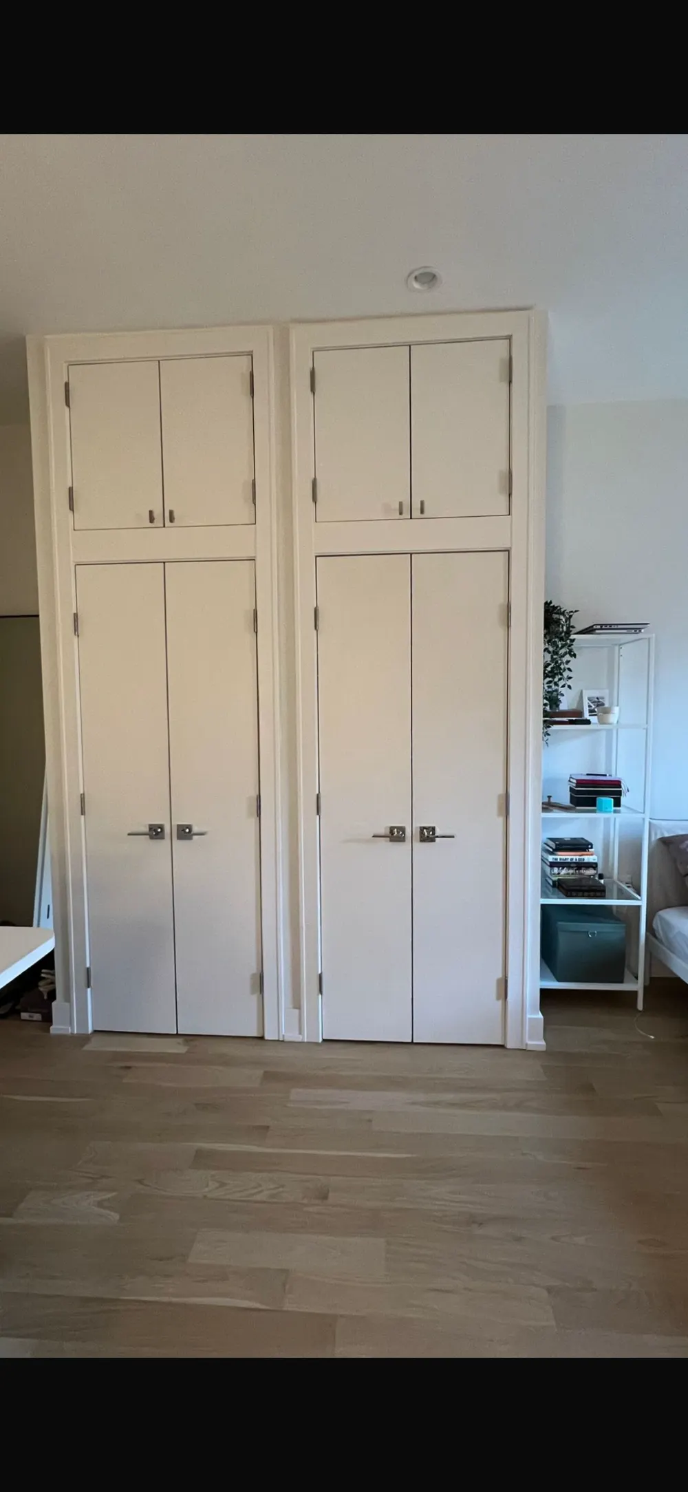 Tall white cabinet doors, shelves.