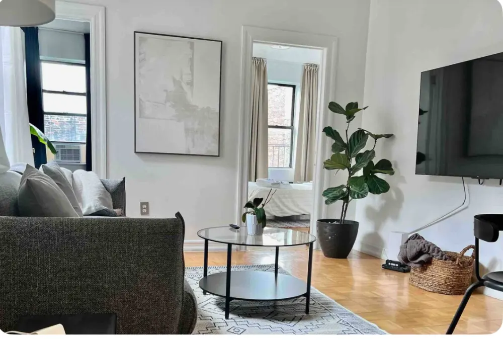 Modern living room with plants.