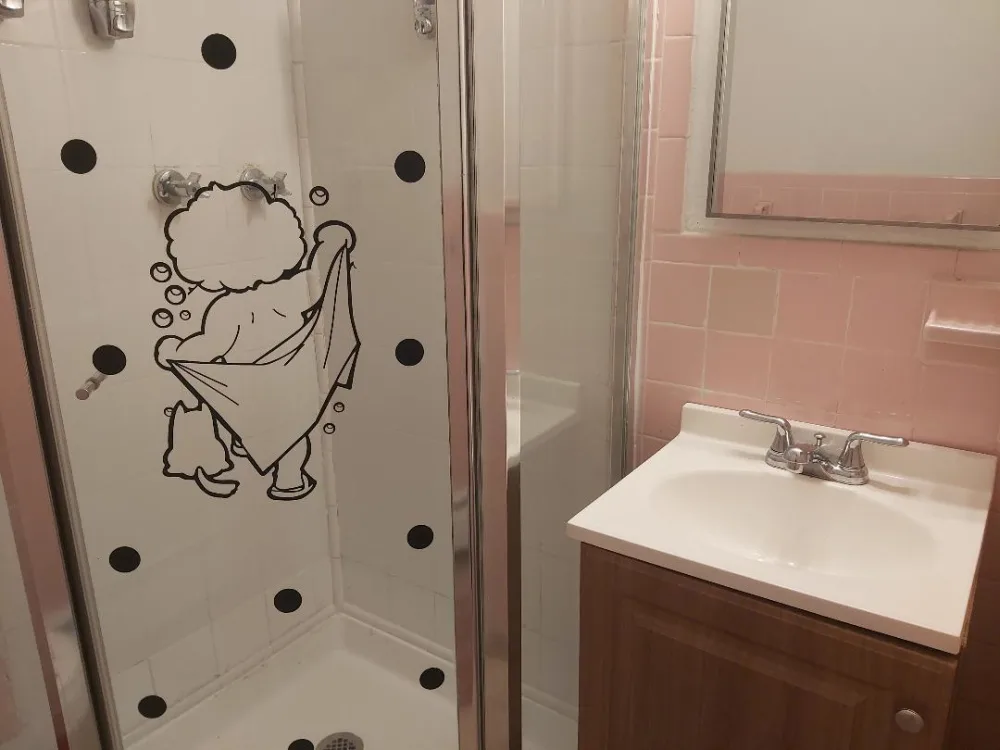 Small bathroom with whimsical shower art.