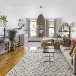 Sunny Modern Loft (800sqf) in Prime Williamsburg+Elevator