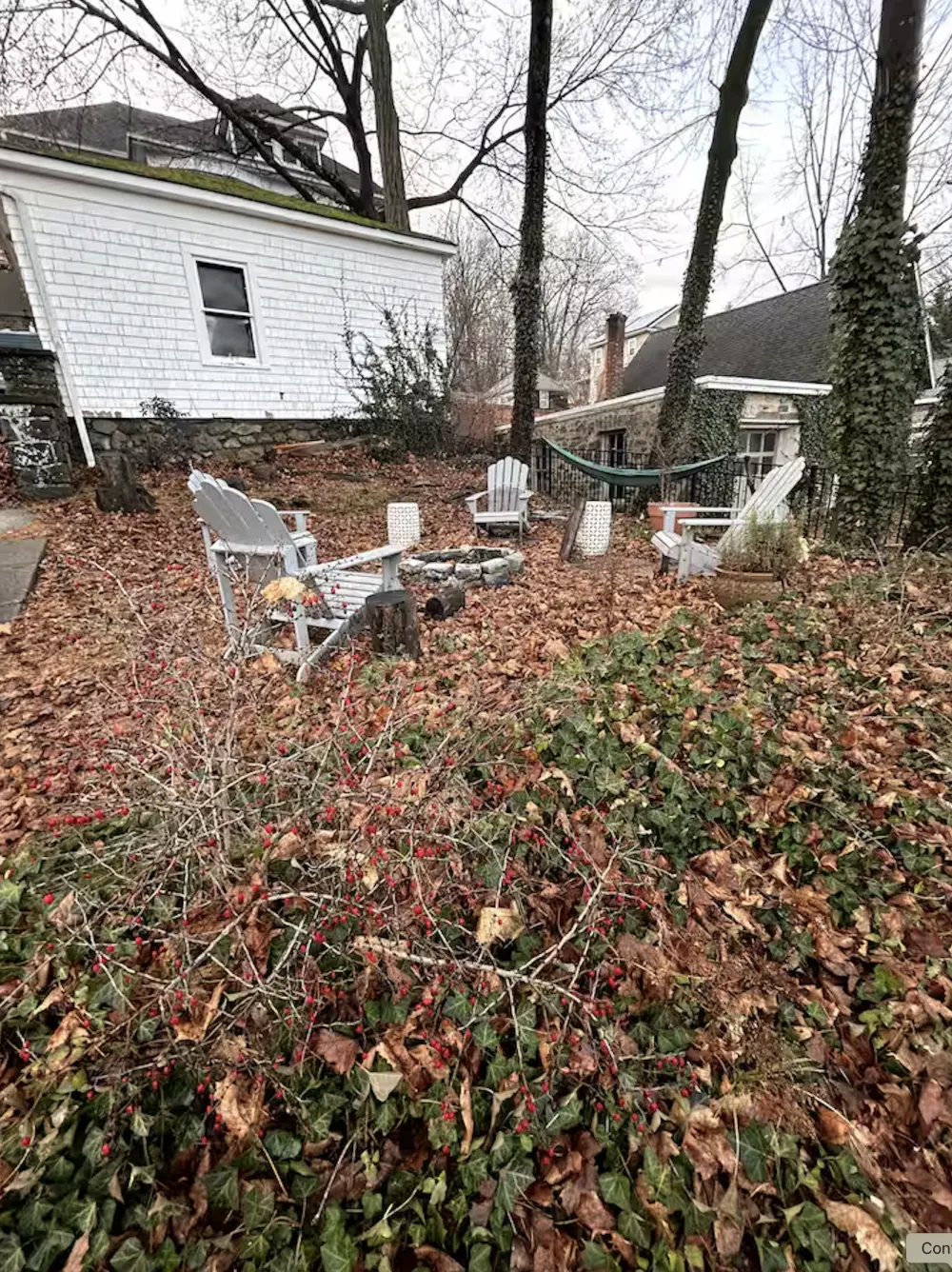Backyard with chairs and hammock.