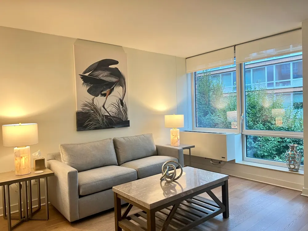 Modern cozy living room area