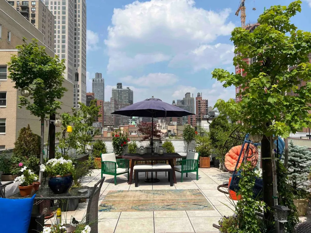 Rooftop garden with city views.