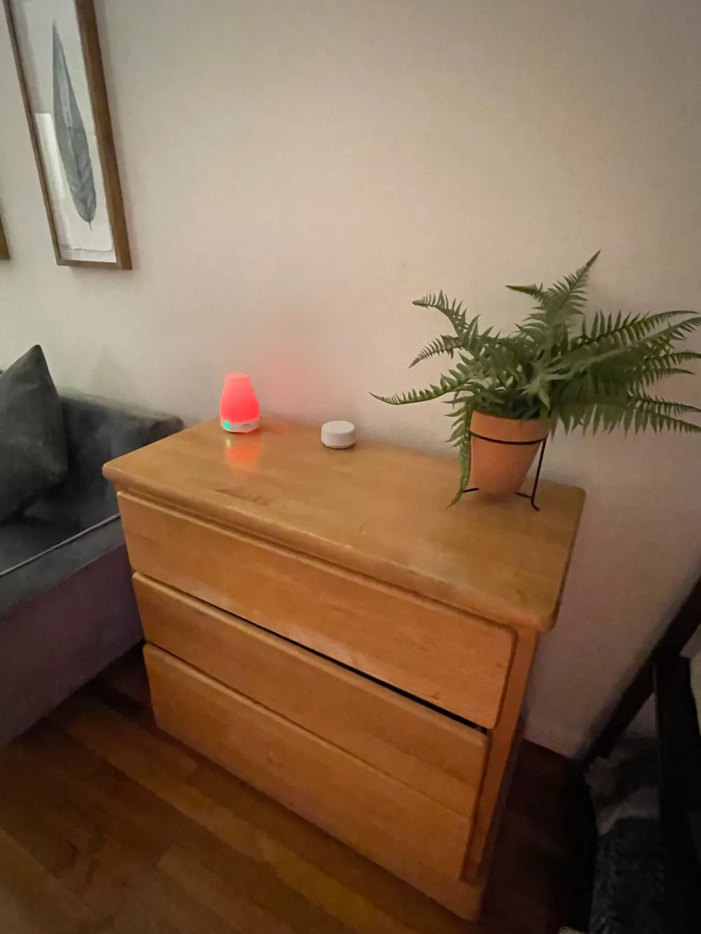 Wooden dresser with plant decor.