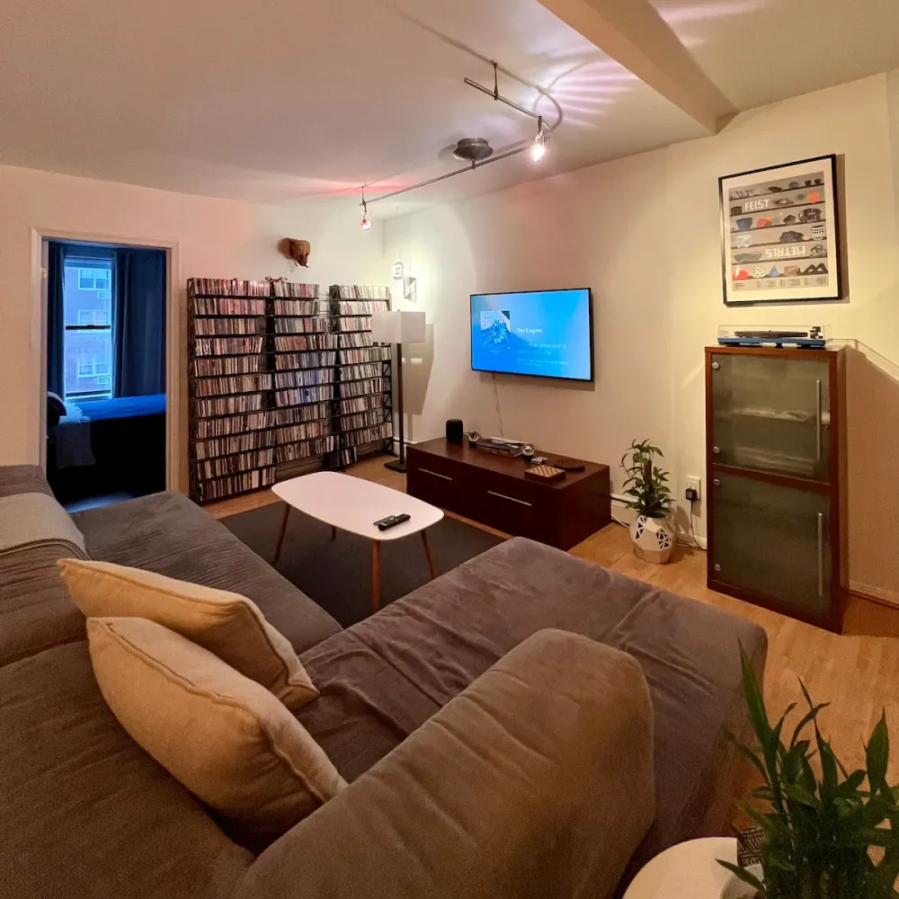 Cozy living room with entertainment setup.