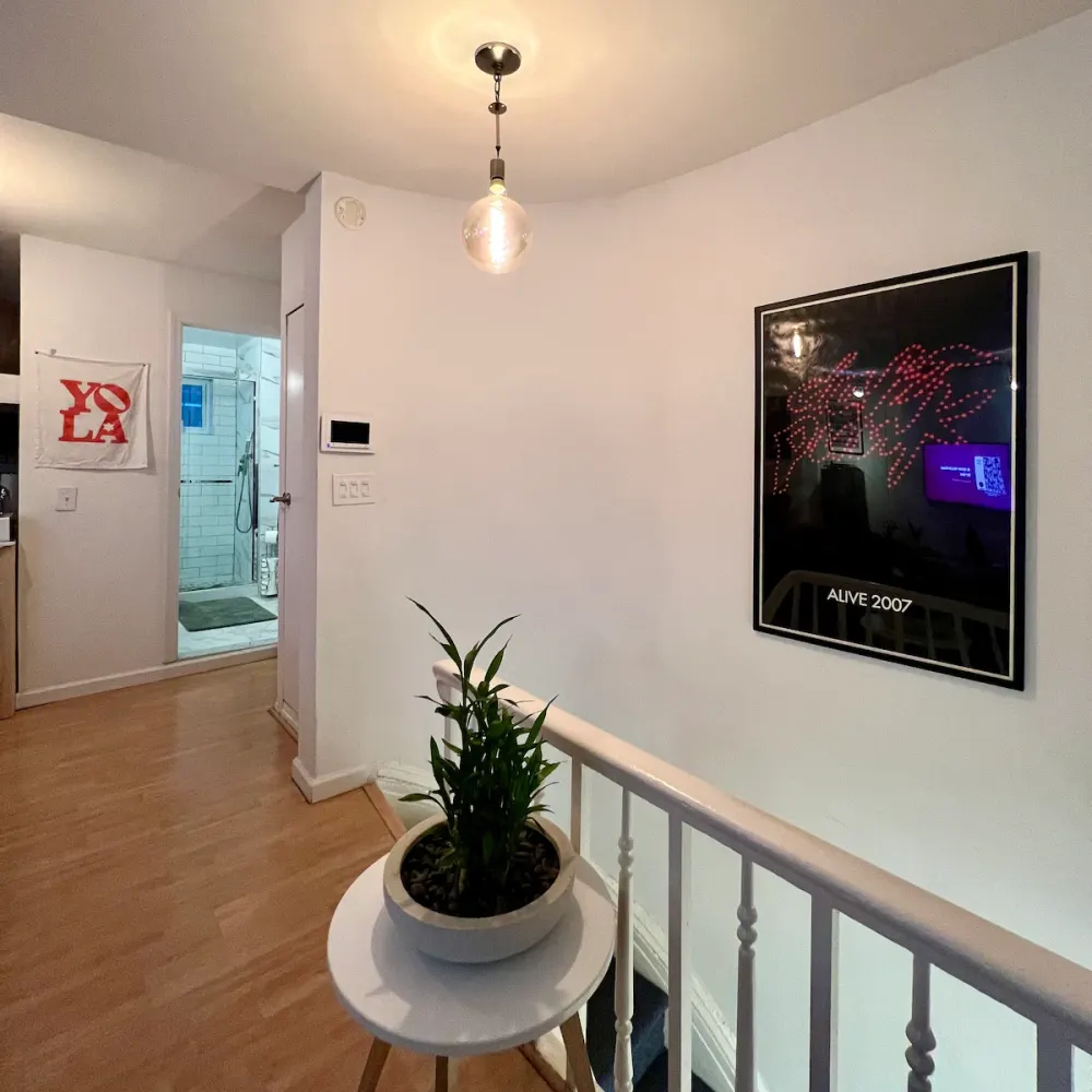 Modern hallway with a plant.