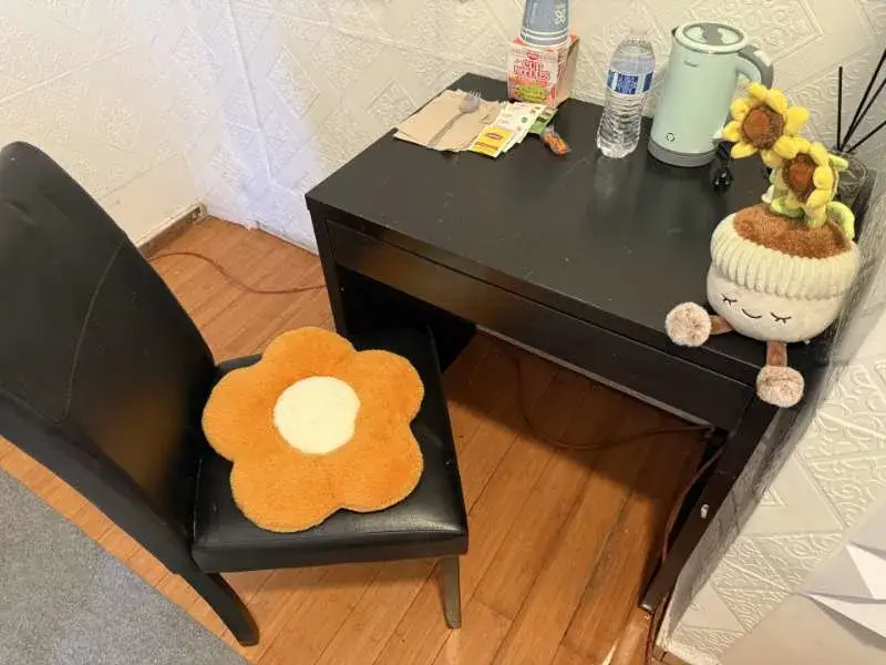 Cozy desk corner, flower cushion