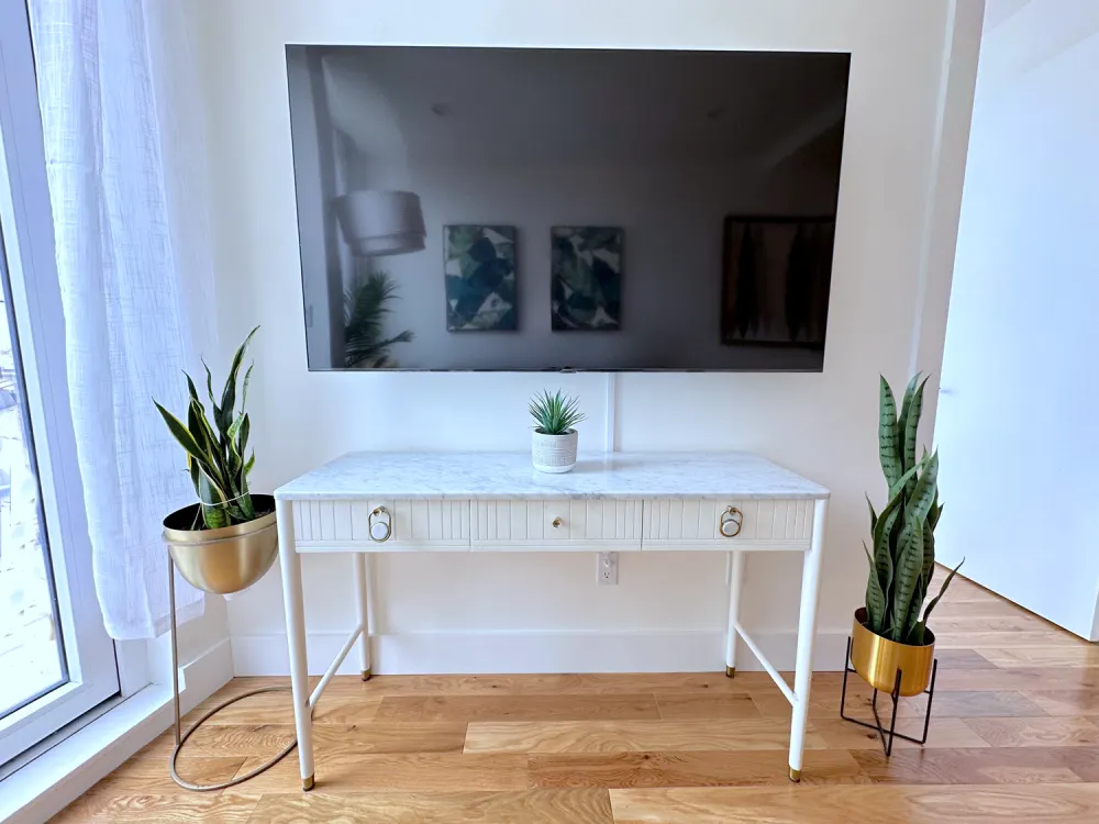 Modern living room with plants.