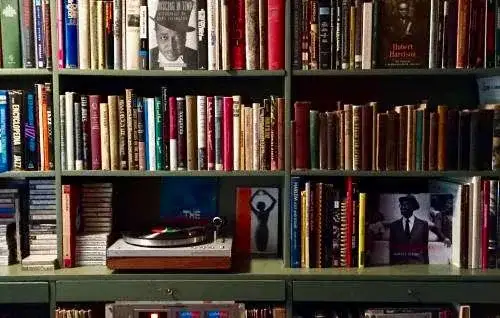 Cozy book-filled shelf with turntable
