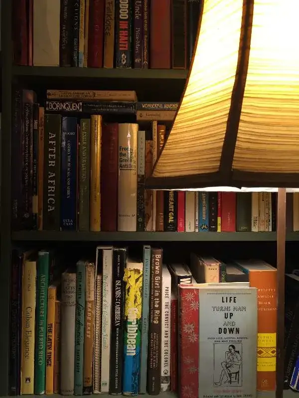 Cozy bookshelf bathed in warm lamplight