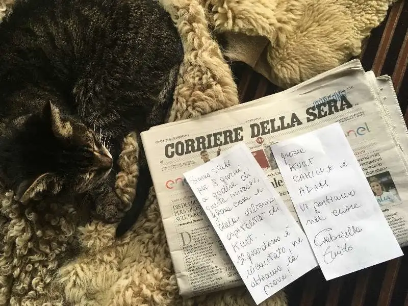 Tabby cat, newspaper, handwritten notes