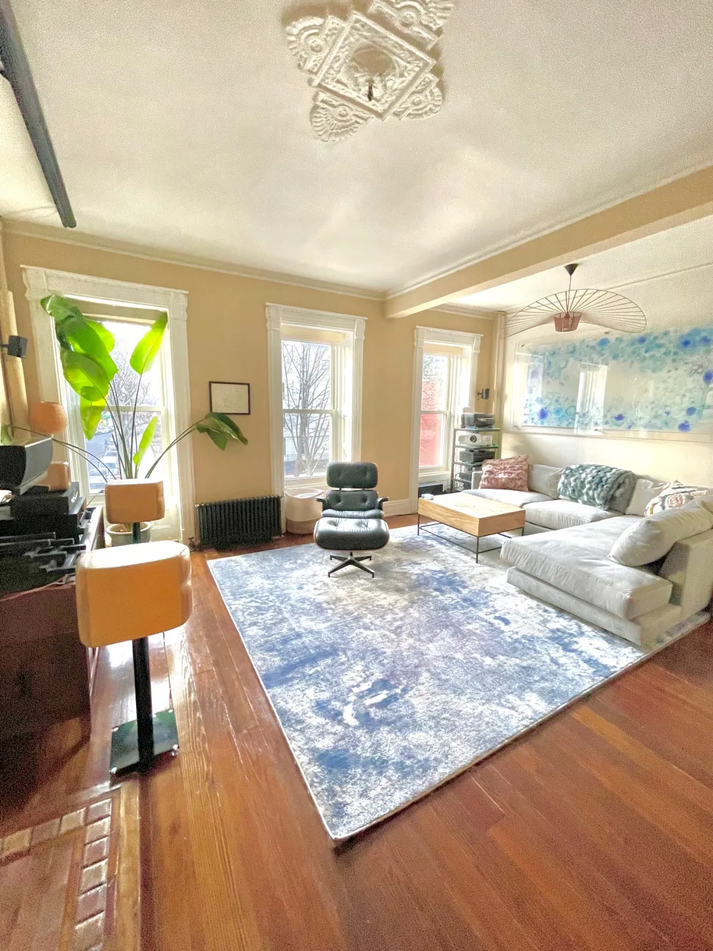 Bright, cozy living room with plants.