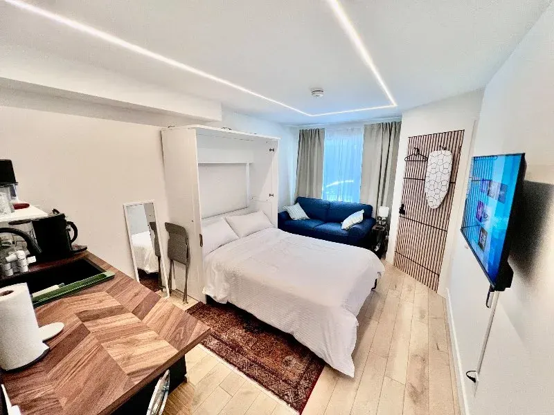 Cozy modern studio with bed