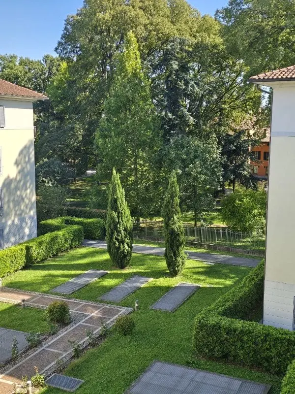Sunlit courtyard with cypress trees