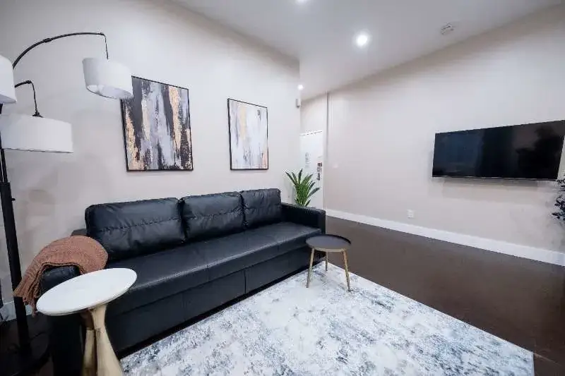 Modern living room with black sofa