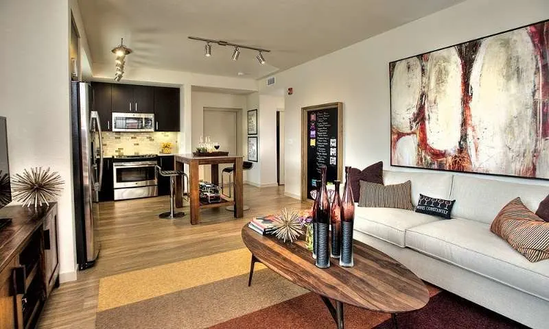 Stylish open-plan living and kitchen