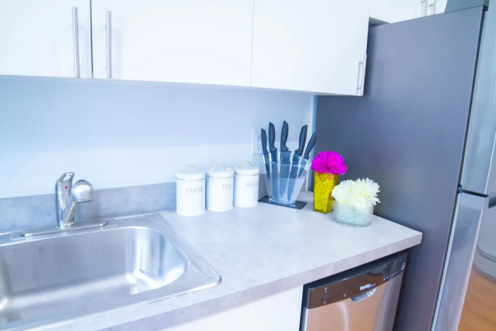 Modern kitchen counter with decor.