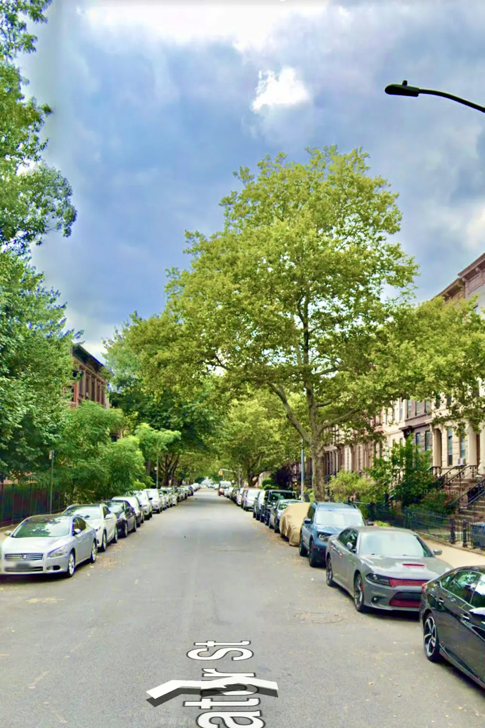 Tree-lined street with parked cars.