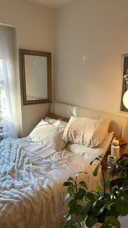 Sunlit cozy bed with plants