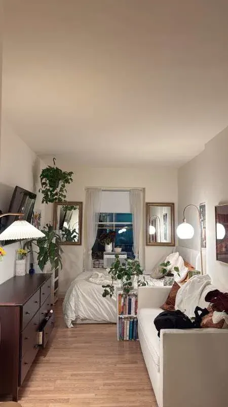 Cozy studio apartment with plants