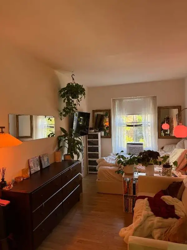 Cozy sunlit studio with plants