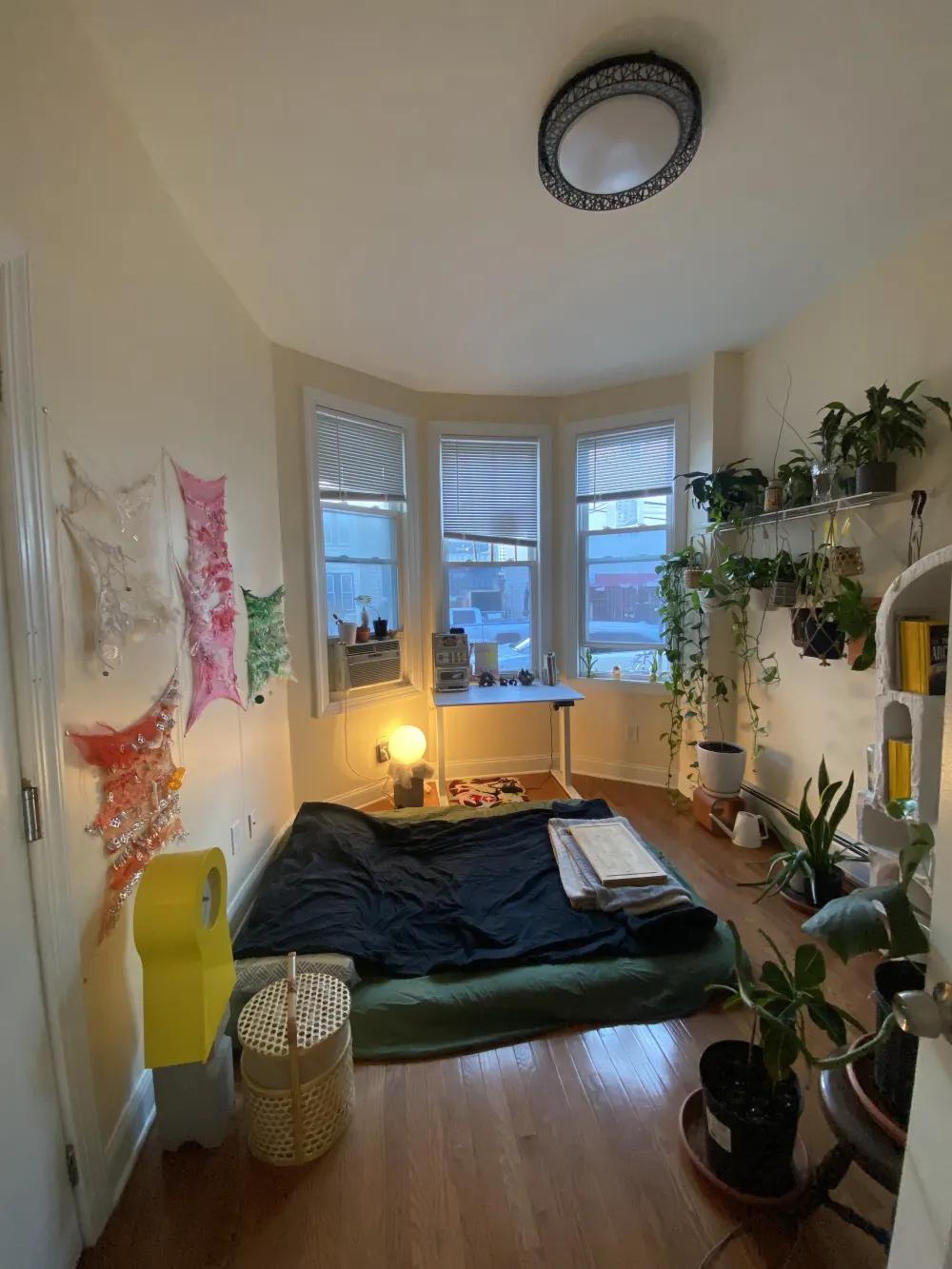 Sunlit bohemian bedroom with plants