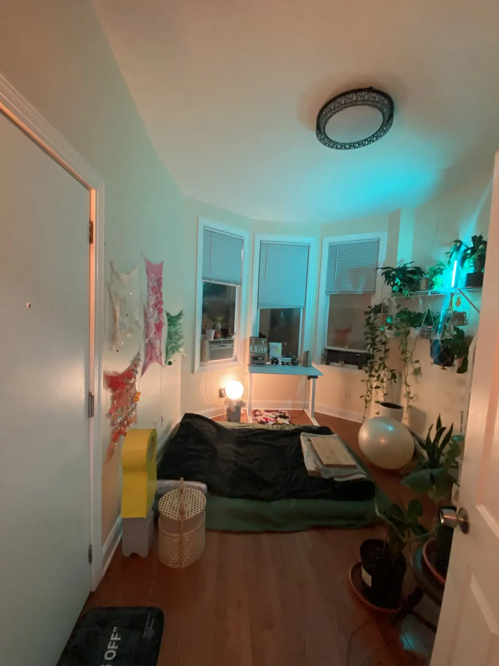 Cozy bedroom with plants, lighting.