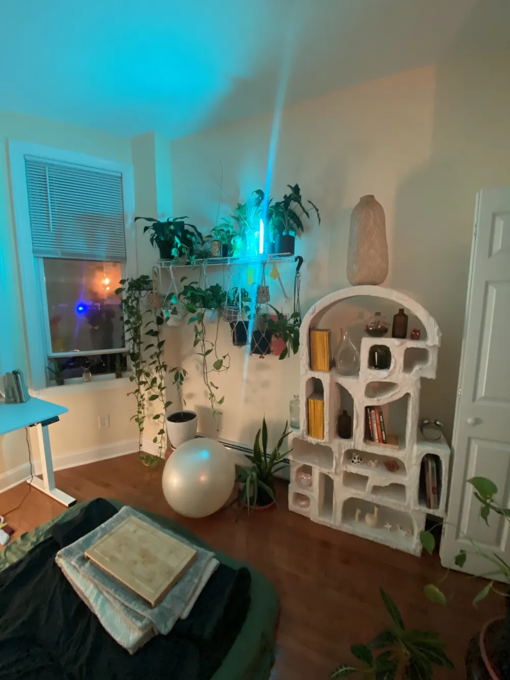 Cozy room with plants, shelves.