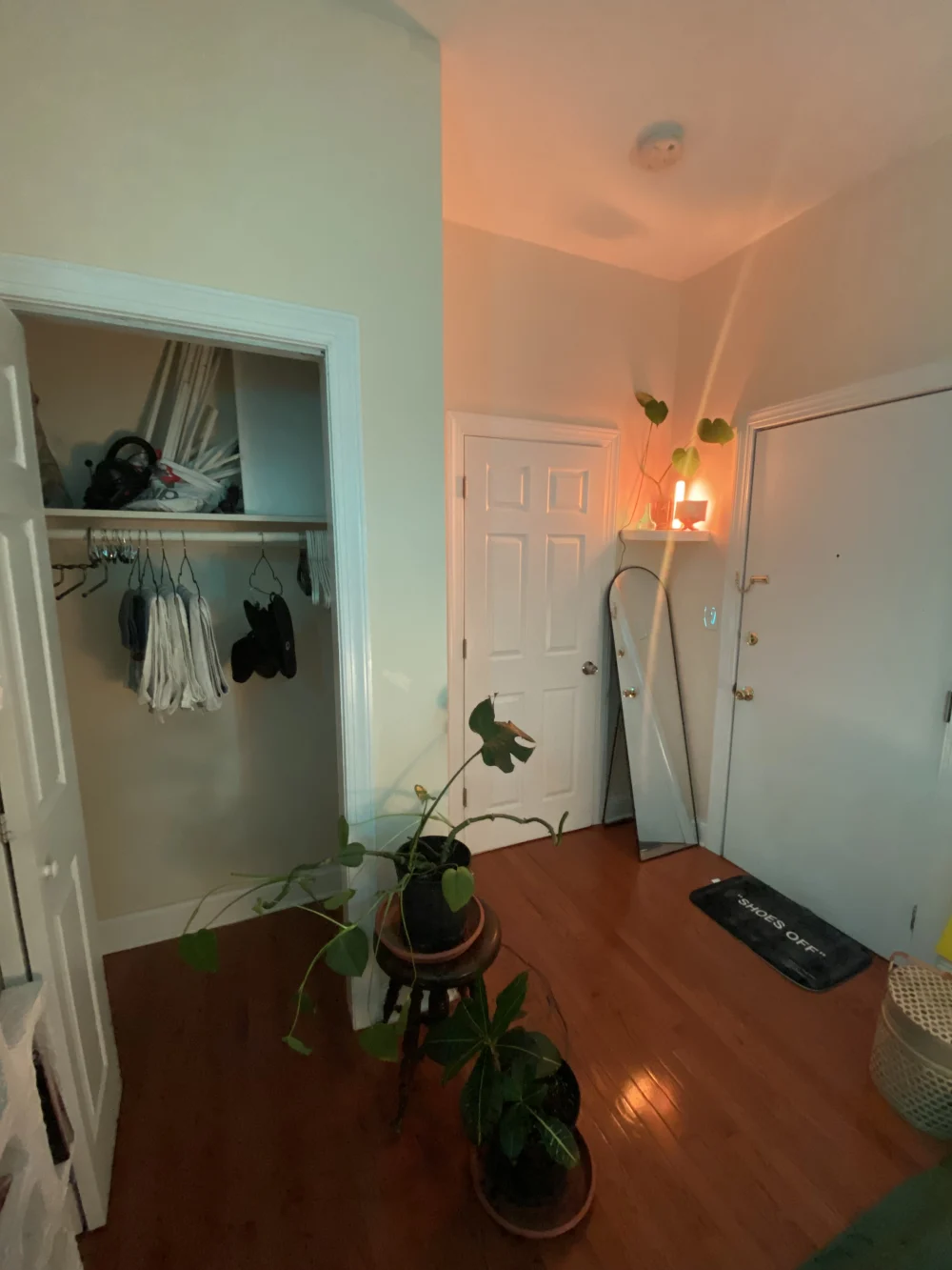 Cozy room with plants, closet.