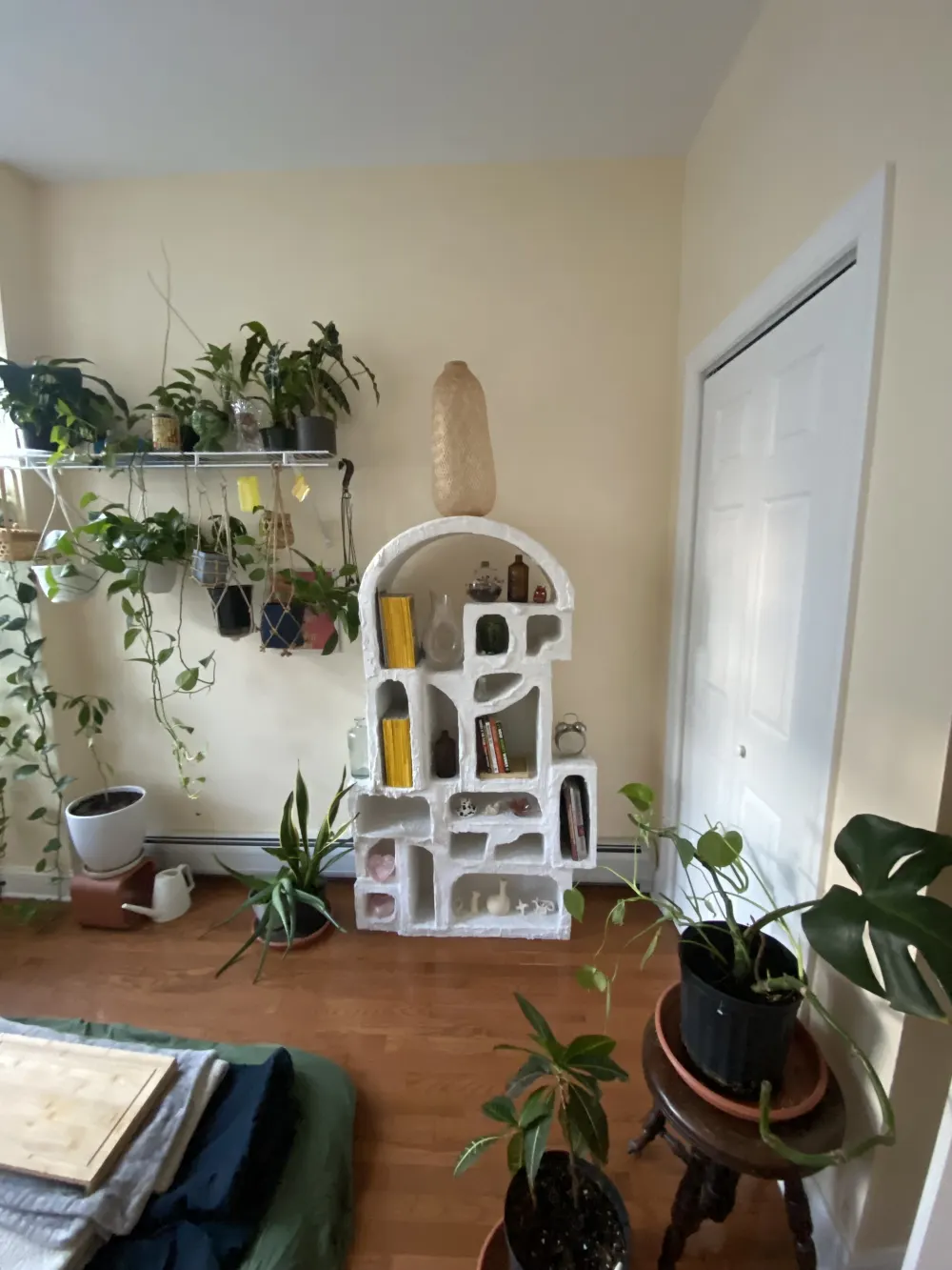 Room with plants and bookshelf.