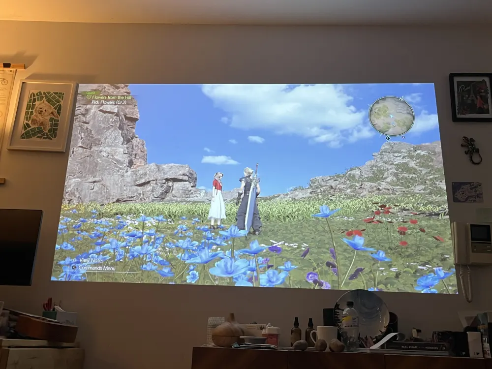 Video game projected on a wall.