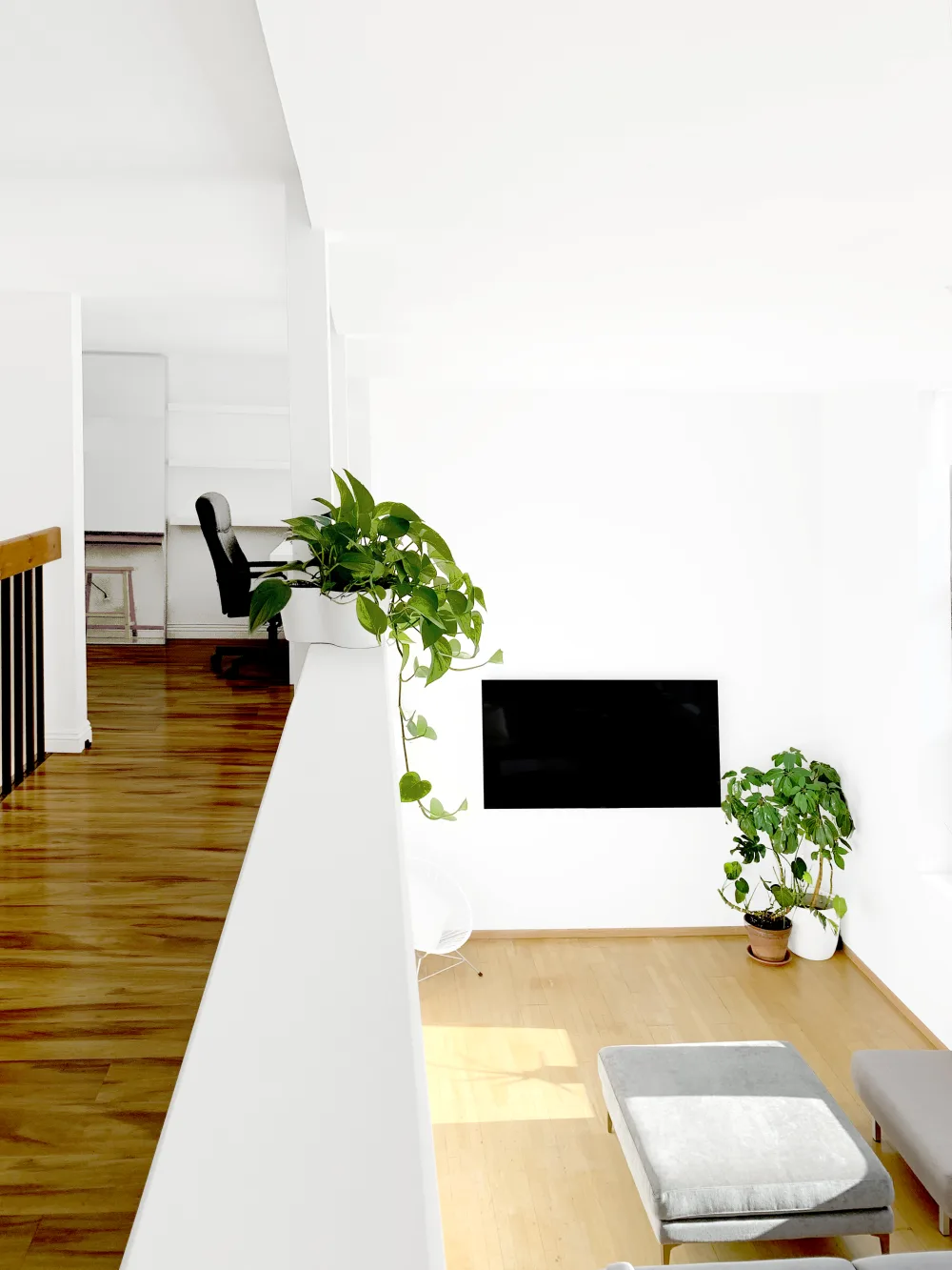 Bright modern loft with plants.