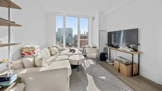 Sunny, Cozy Long Island City Apartment