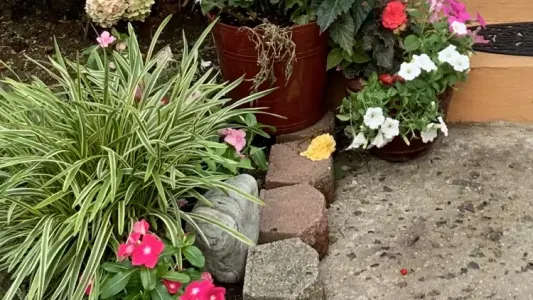 Relaxing, Clean Room 7 mins to JFK close to LGA Airport / 30 mins to Manhattan