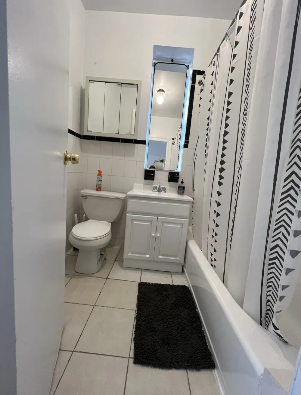 Modern bathroom with monochrome decor.