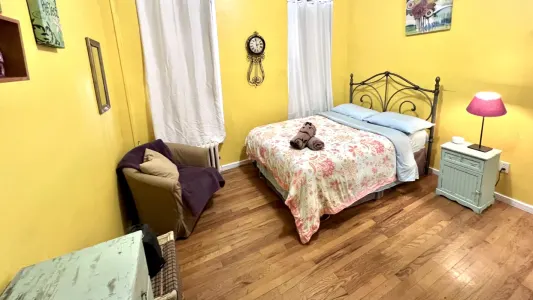 Beautiful, High Ceiling, Spacious, Entire Apartment in quiet East Village