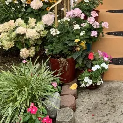 Relaxing, Clean Room 7 mins to JFK close to LGA Airport / 30 mins to Manhattan 