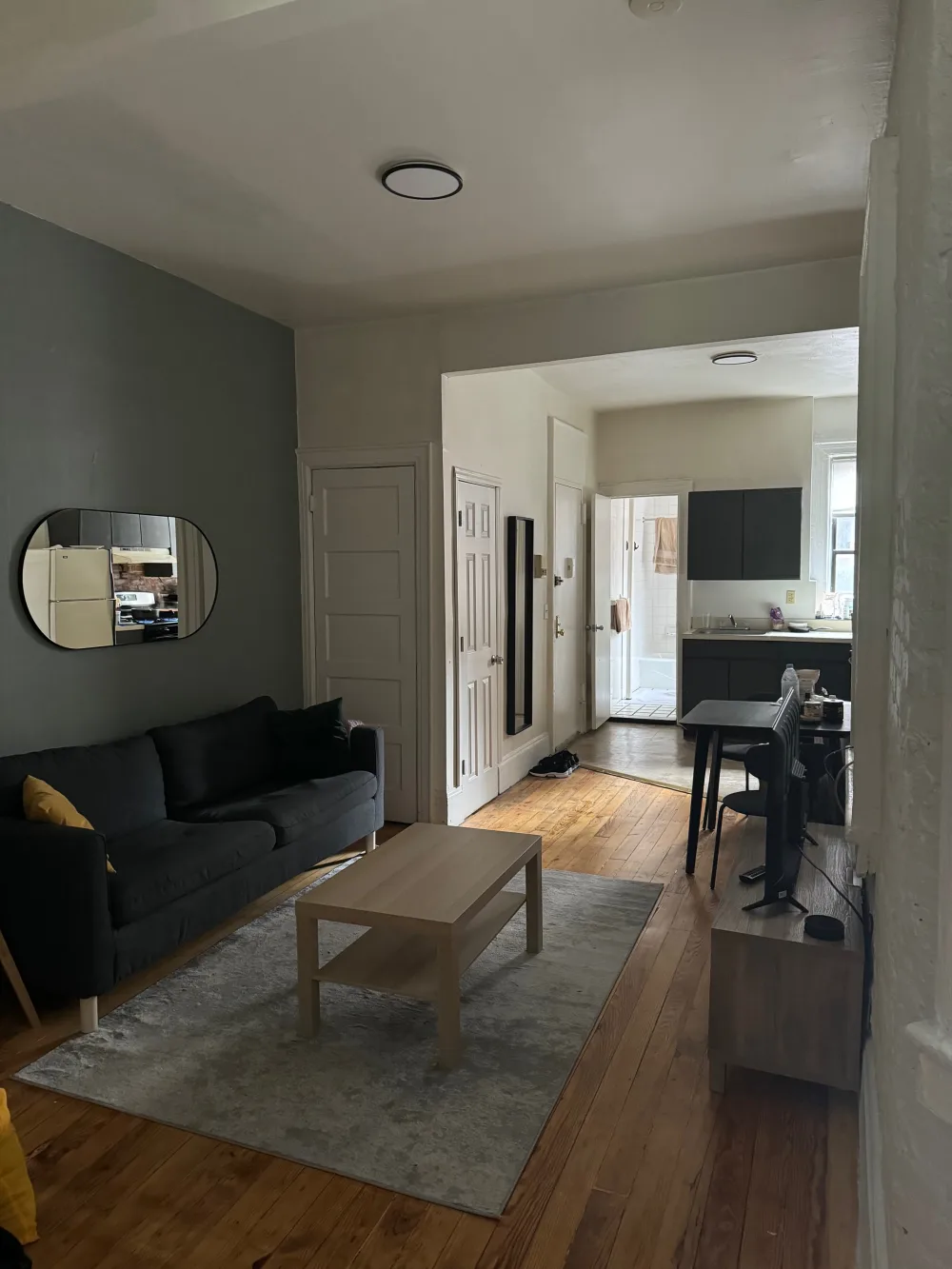 Cozy living room and kitchen