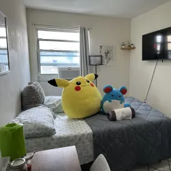 Flower Bushwick Brooklyn M and L Train Netflix WiFi Air Conditioning