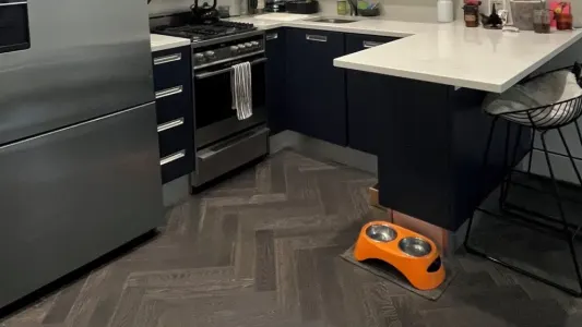 Lovely 1 bedroom in Brooklyn brownstone