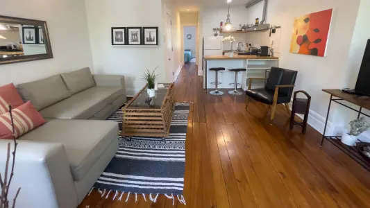 Bright One bedroom Apt in Historic renovated brownstone
