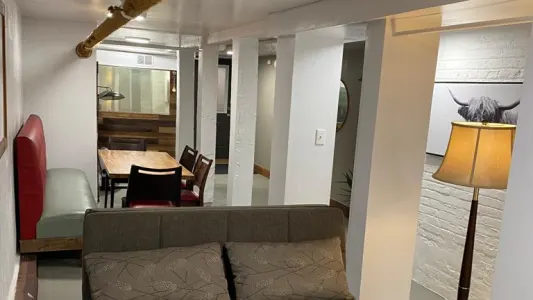 Spacious apartment with Backyard Williamsburg 