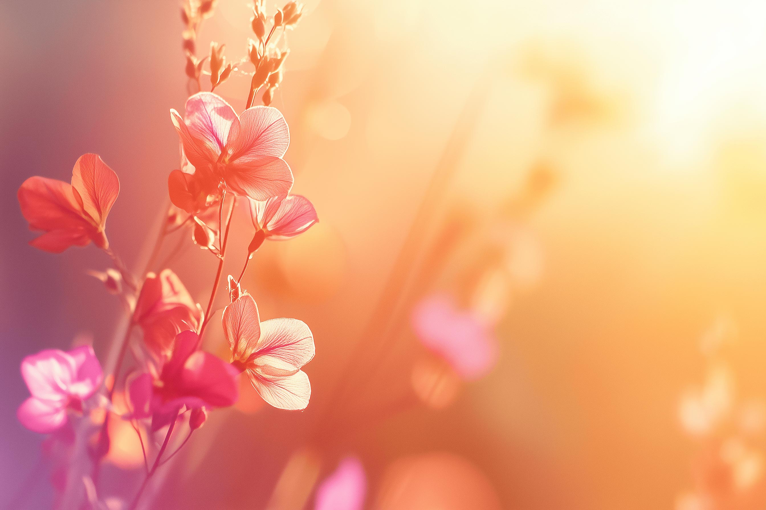 profile-bg