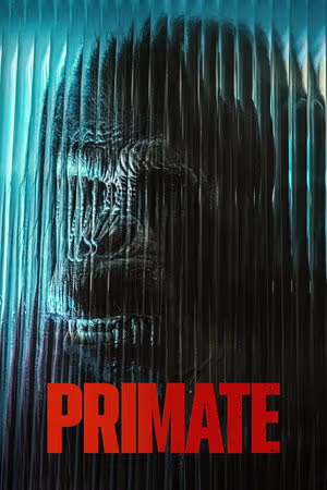 Primate 2025
