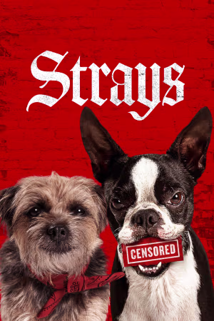 Strays 2023