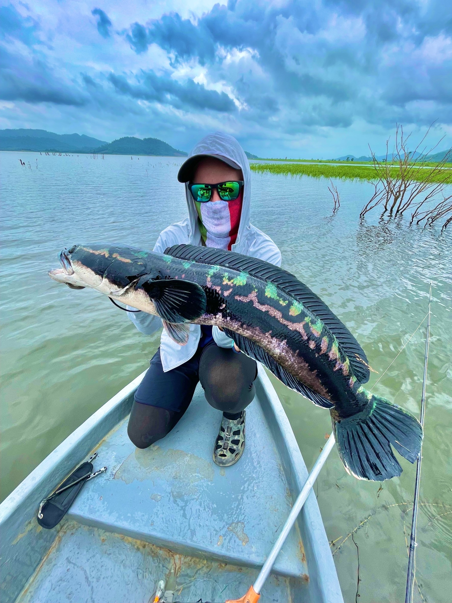 Angler holding a giant snakehead from a small boat on a Thai reservoir