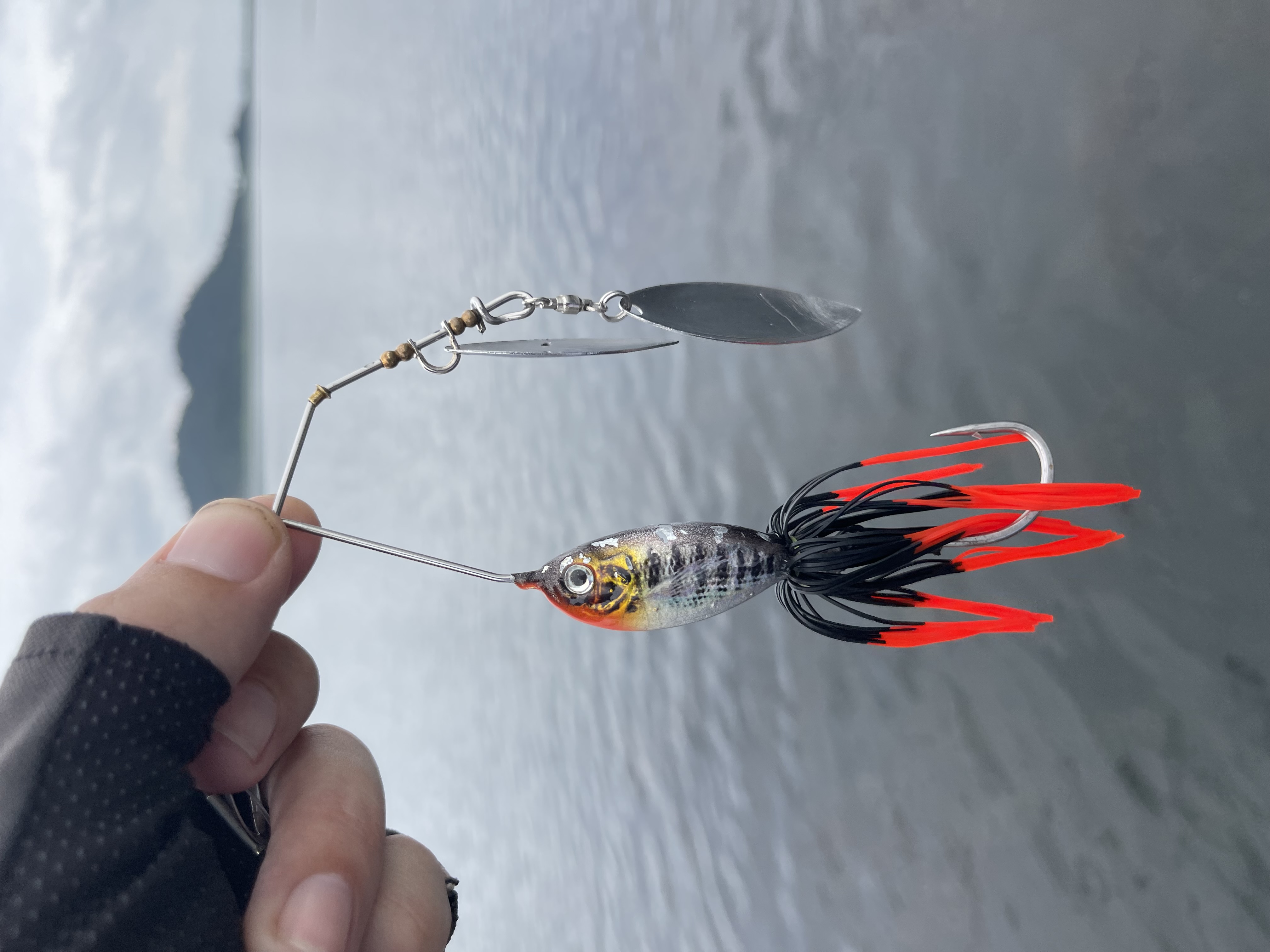 Close-up of a black and red spinnerbait used for targeting giant snakehead