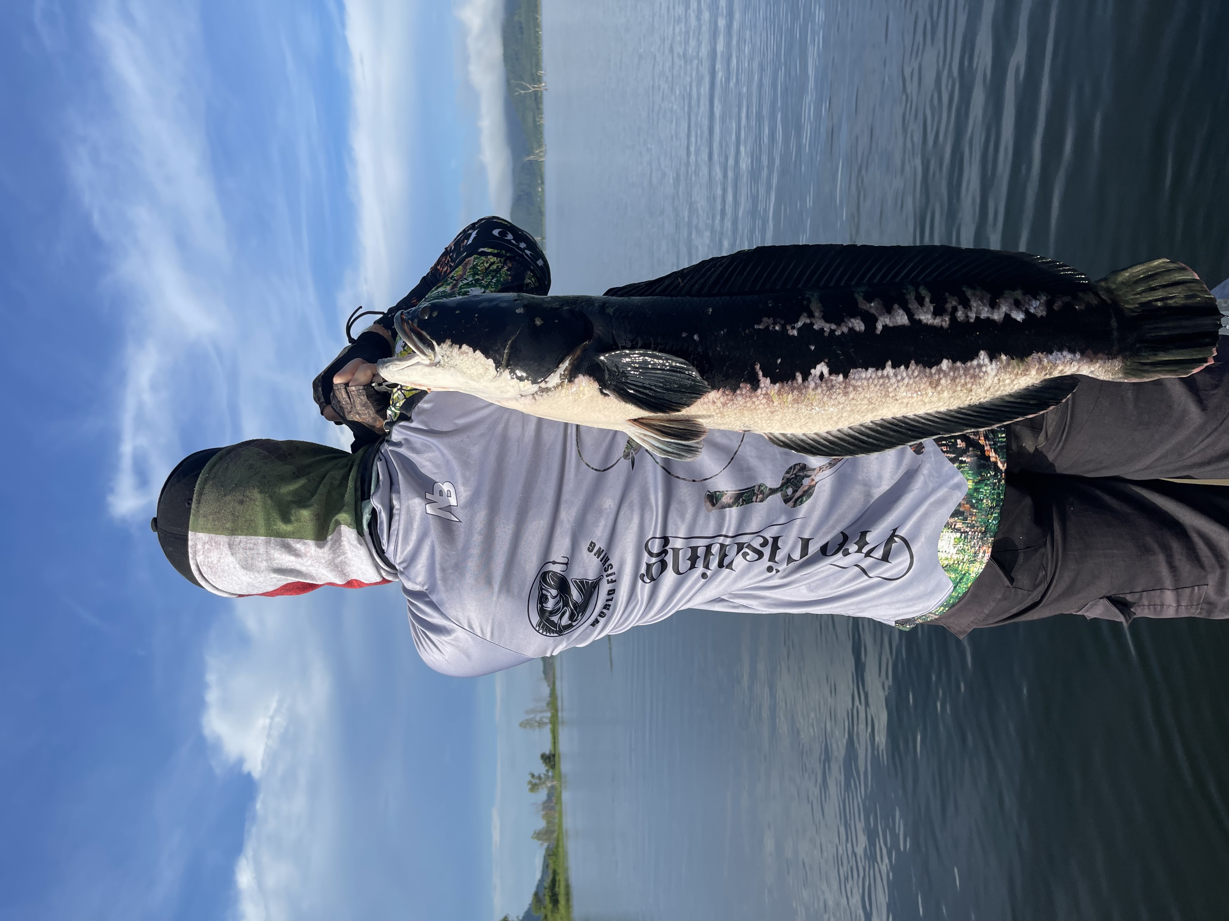 Angler holding a large giant snakehead in Thailand